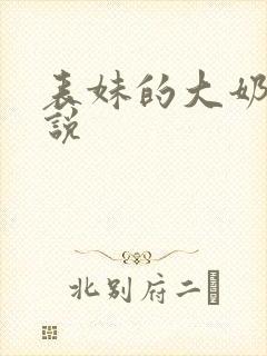 表妹的大奶子小说