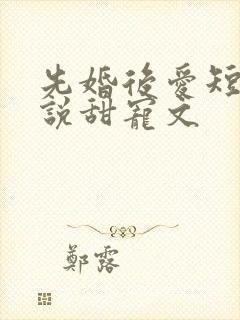 先婚后爱短篇小说甜宠文