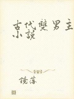 古代双男主生子小说