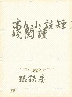 高h小说短篇在线阅读