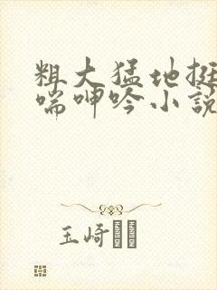 粗大猛地挺进娇喘呻吟小说