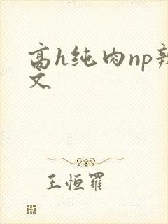 高h纯肉np辣文