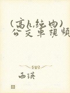 (高h,纯肉)公交车视频