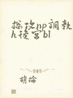 总攻np调教高h后宫bl