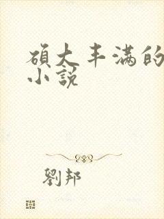 硕大丰满的巨乳小说