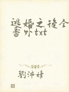 逃婚之后全文加番外txt