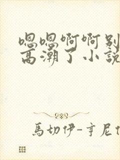 嗯嗯啊啊别干了高潮了小说封面