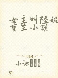 女主叫陆婉婉的重生小说