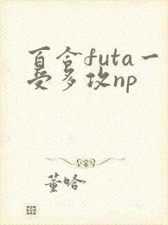 百合futa一受多攻np封面