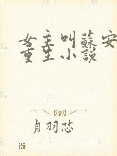 女主叫苏安然的重生小说