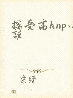 总受高hnp小说