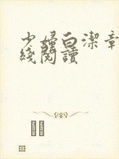 少妇白洁章节在线阅读封面