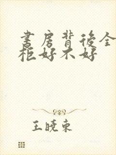 书房背后全是书柜好不好封面