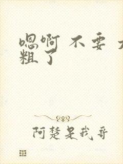 嗯啊 不要 太粗了封面