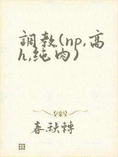 调教(np,高h,纯肉)封面