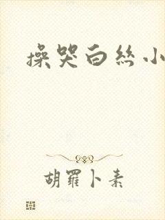操哭白丝小说封面