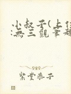 小叔子(上位):无三观笔趣阁