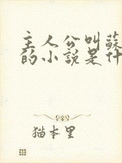 主人公叫苏软软的小说是什么名字封面