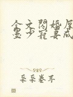 全文闪婚厚爱:墨少宠妻成瘾