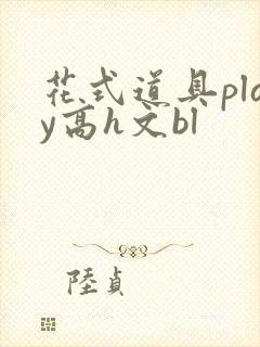 花式道具play高h文bl