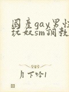 国产gay男性玩奴sm调教视频封面