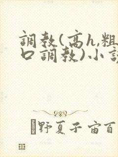 调教(高h,粗口调教)小说