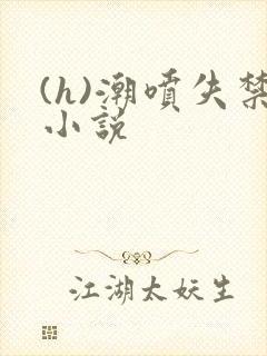 (h)潮喷失禁小说