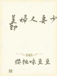 美妇人妻少年章节