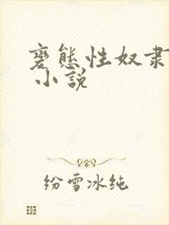 变态性奴隶调教 小说封面