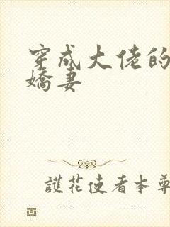 穿成大佬的反派娇妻封面