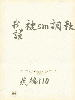 我被sm调教小说