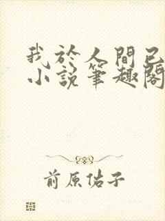 我于人间已无敌小说笔趣阁