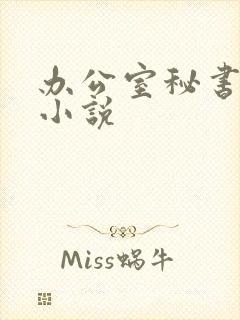 办公室秘书高h小说