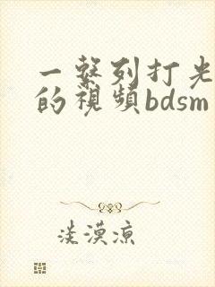 一系列打光屁股的视频bdsm