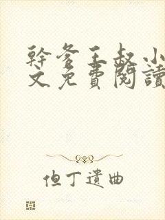 干爹王叔小说全文免费阅读最新章节封面