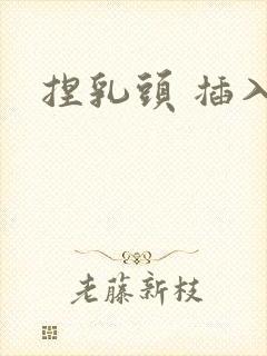 捏乳头 插入封面