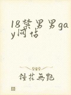 18禁男男gay网站