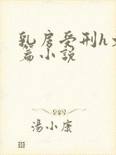 乳房受刑h文长篇小说封面