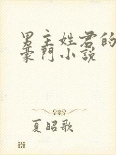 男主姓君的现代豪门小说封面