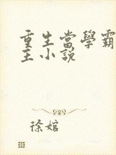 重生当学霸的女主小说