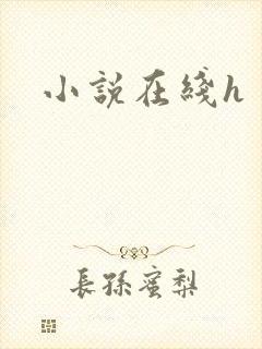 小说在线h