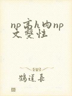 np高h肉np文双性