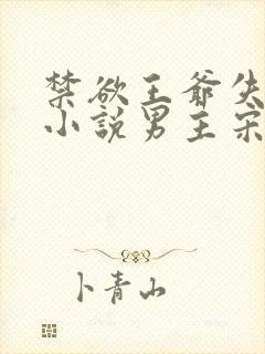 禁欲王爷失控了小说男主宋持的小说