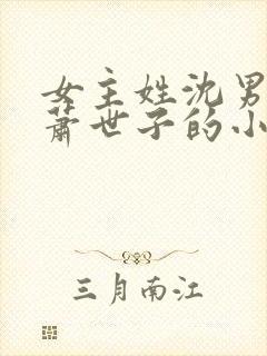 女主姓沈男主姓萧世子的小说