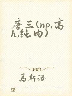 唐三(np,高h,纯肉)