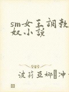 sm女王调教男奴小说封面