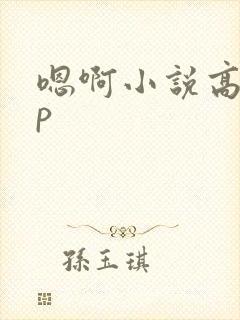 嗯啊小说高hnp封面
