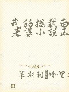 我的总裁白富美老婆小说正版