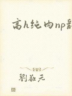 高h纯肉np乱