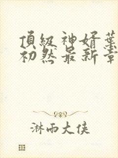 顶级神婿叶辰萧初然最新章节